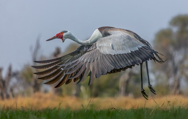 Bethal Fotografie Klub - JG Drotsky - Lel kraan