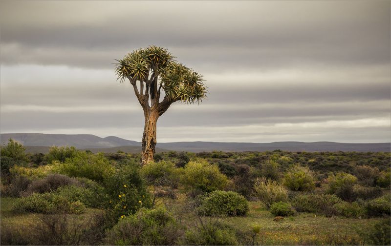 Brandpuntfotoklub - Sarie du Plessis - Hantamberge