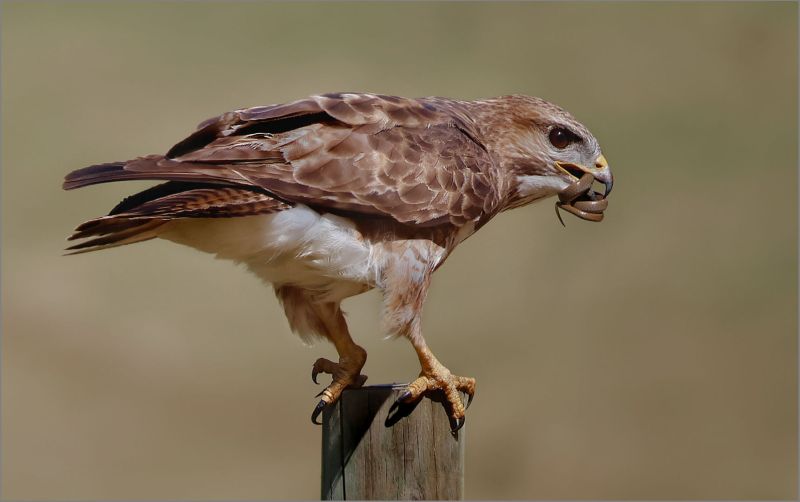 Creative Camera Club - Christel Schuttler - Light Lunch