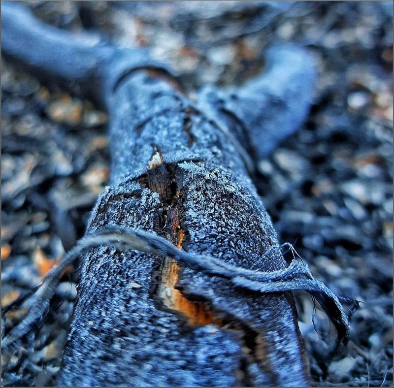 Ermelo Foto Klub - JW Koekemoer - Deeper Meaning