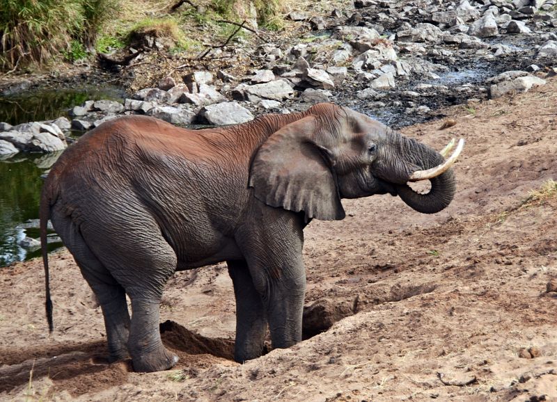 Kriel Foto Club - Anton du Plessis - Soek water