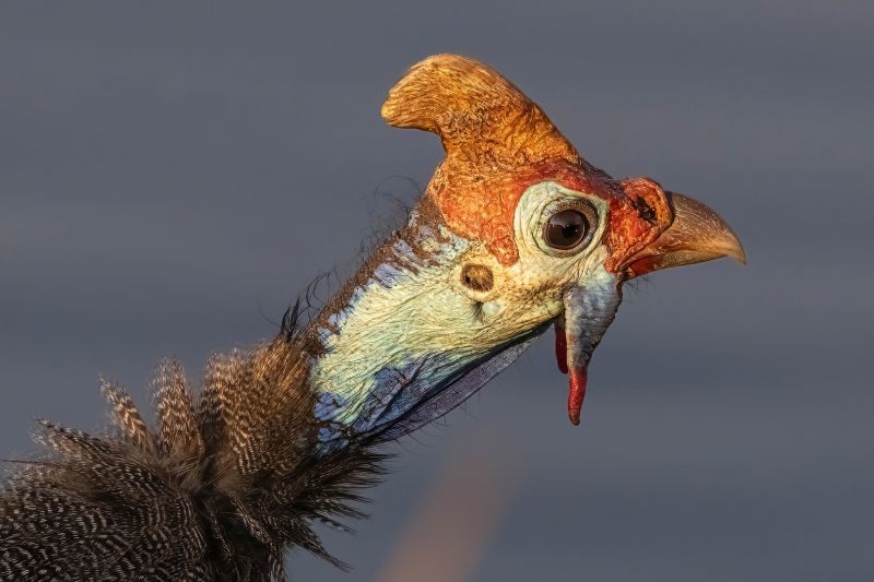 Pretoria Photographic Society - George Stevens - Reaching Out