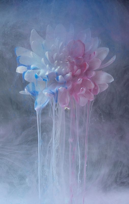 Randburg Foto Klub-Randburg Photo Club - Janine Nimmo - Ethereal