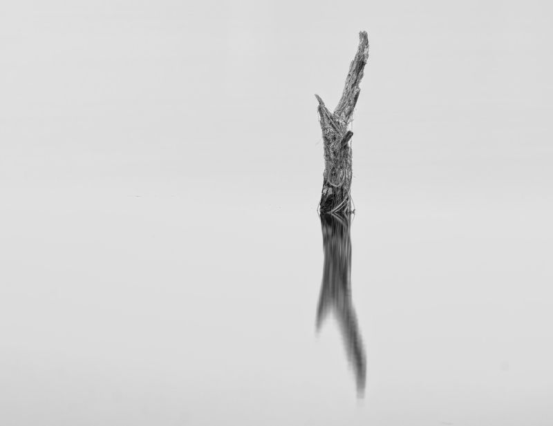 Tygerberg Photographic Society - BRIAN MOFFATT - STANDING RESOLUTE