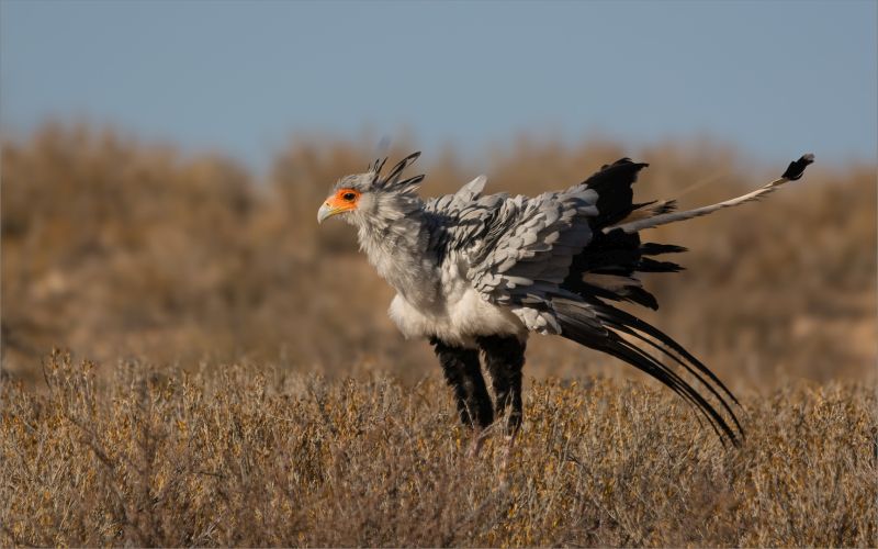 Amber Camera Club - David Mullin - The Secretary