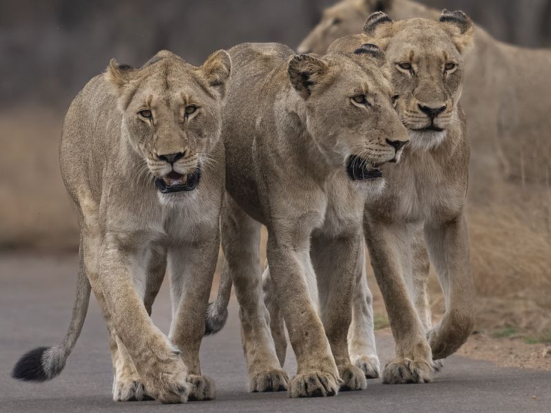 Magalies Foto Fun Club - Mariette Goosen - We Stick Together