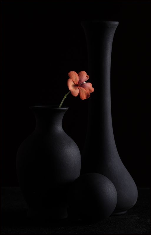 On the Rocks Camera Club - Shaun Frances - Still life