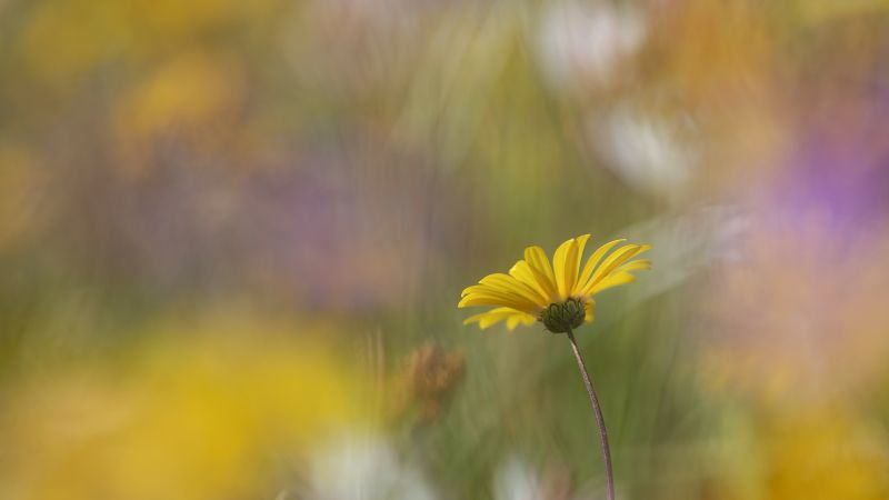 Pretoria Photographic Society - Johan Hosten - Kaleidoscope