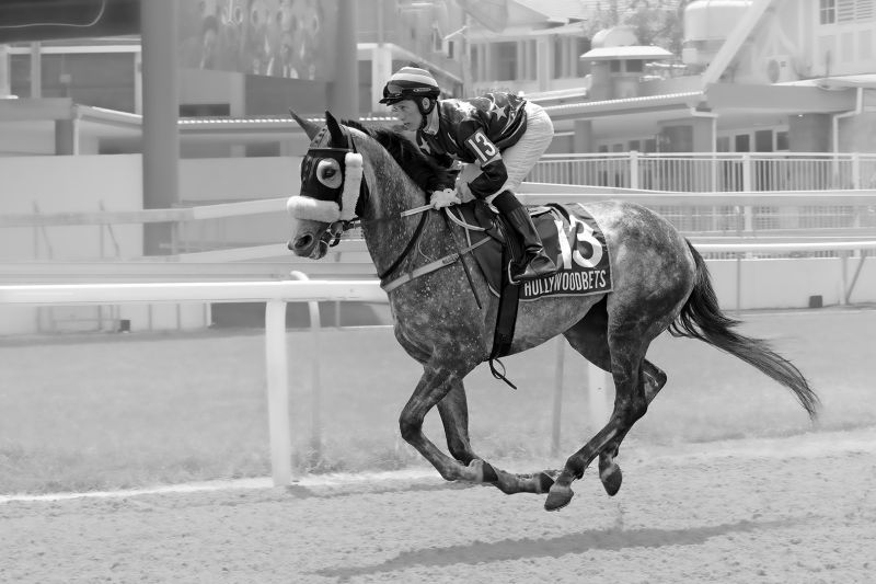 Princes Grant Camera Club - Dave Miller - Lucky