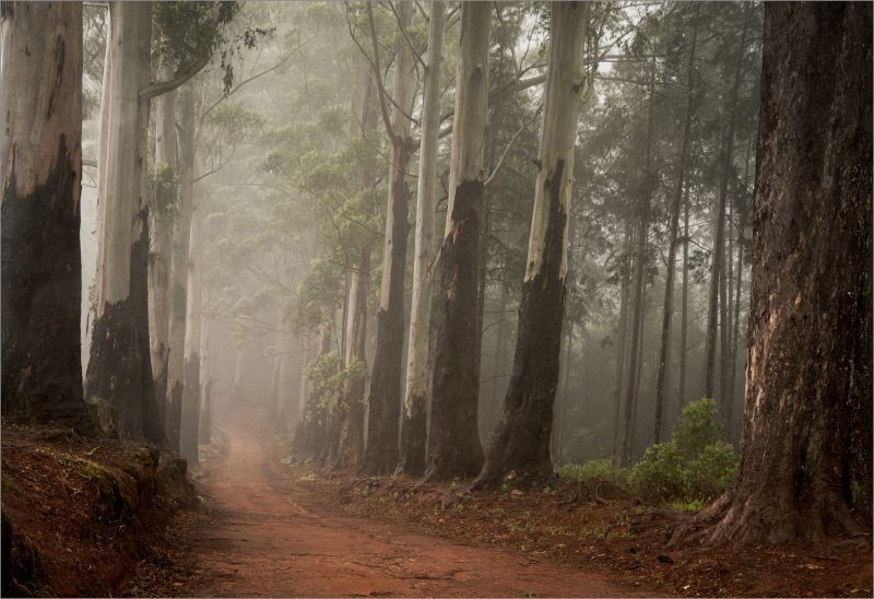 Swartland Fotografieklub - Theuns Olivier - Old timers standing guard