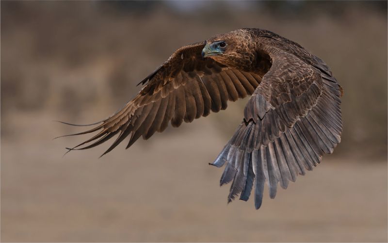 Eric Bosman - Kriel Foto Club - Amper Daar