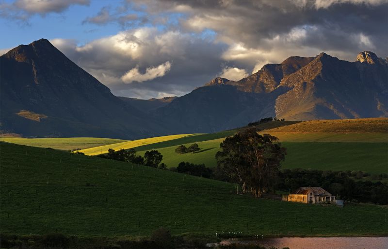 Geo Jooste - Bloemfontein Kameraklub - canola thunder