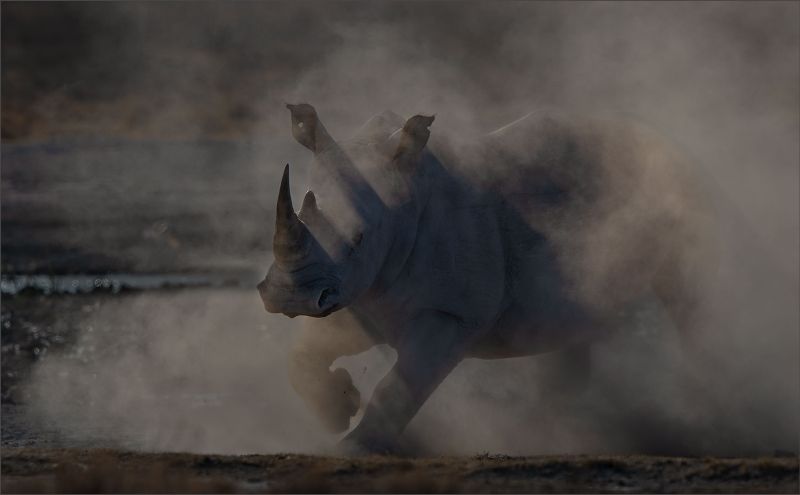 Leon Venter - Bethal Fotografie Klub - SURPRISE OUT OF THE DUST