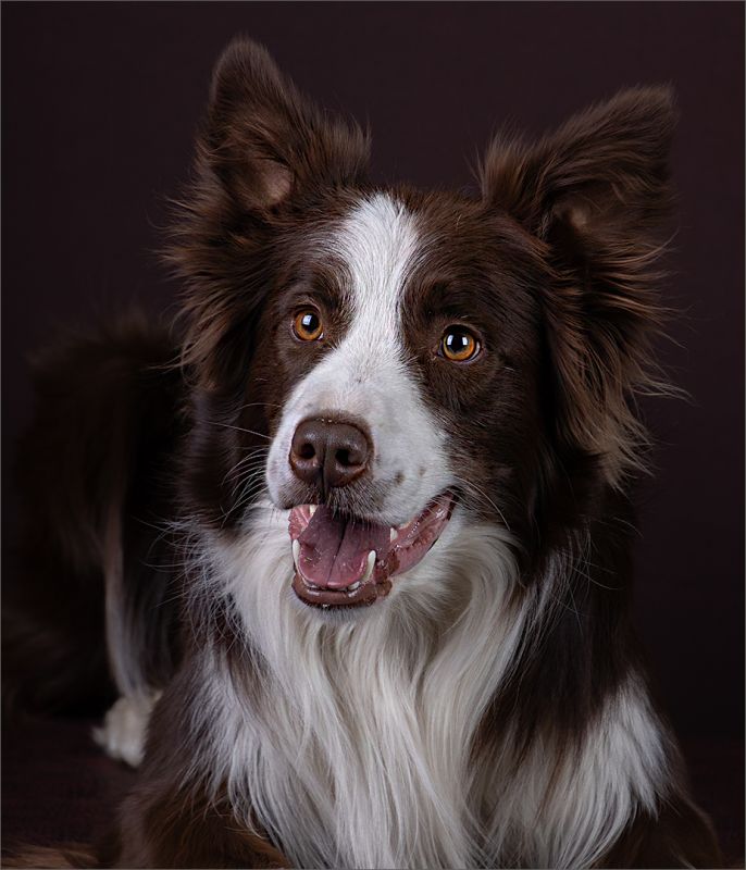 Peter Thomas - Brandpuntfotoklub - Zip