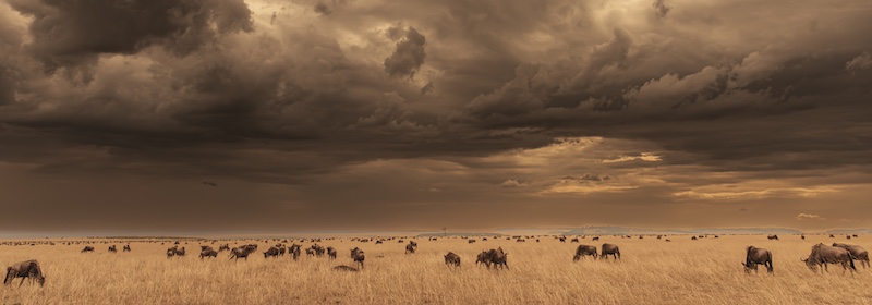 Cape Town Photographic Society - Heiko Denker - Mara