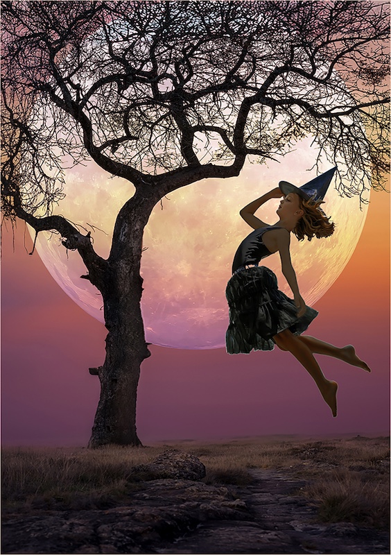 Fish Hoek Photographic  Society - Betzi Pierce - Moondance