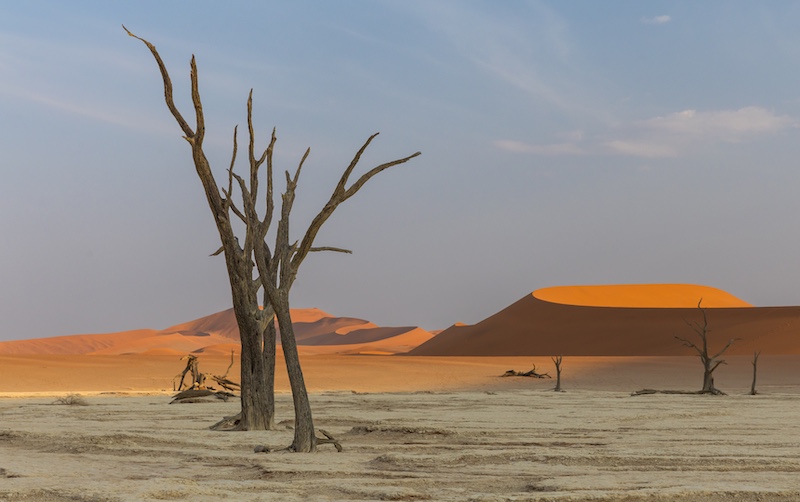 Hillcrest Camera Club - Glenda Patterson - Beauty of the desert