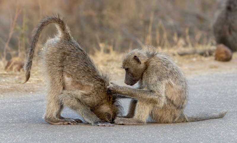 Kriel Foto Club - Rika Horn - Bosveld Spa