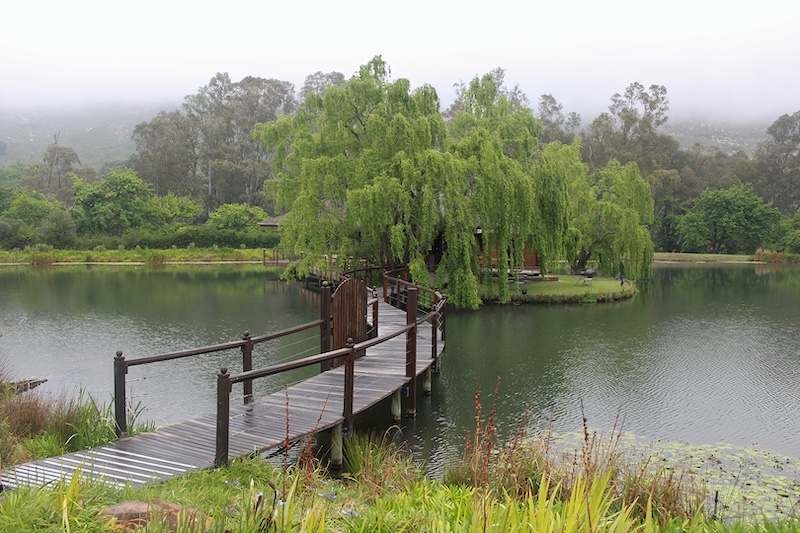 Schools - Aristea Photoclub - Kelsey Benjamin - The cafe under the trees