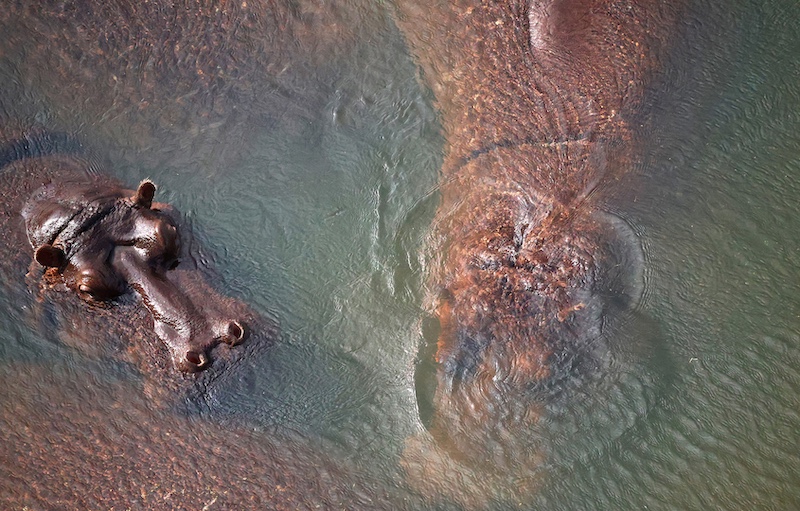 Schools - Western Cape Youth Photographers - Emke Olivier - It takes two