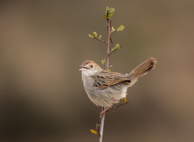 Ballito Photo Club - John Louw - Morning