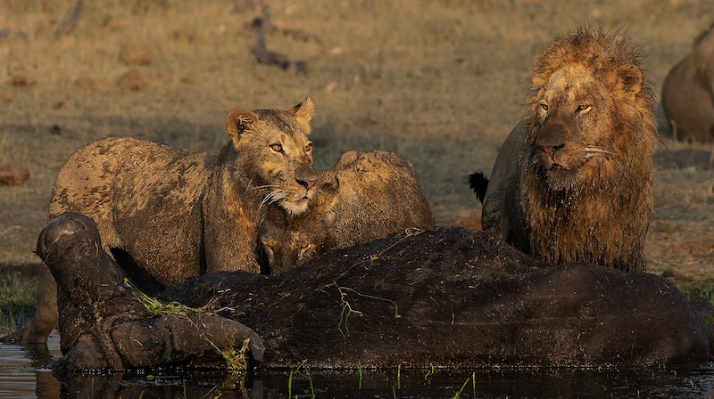 Bethal Fotografie Klub - Wilma Drotsky - Op wag