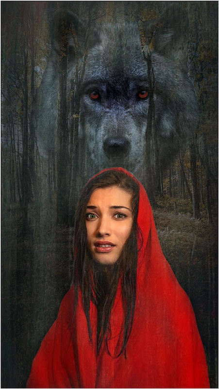 Durban Camera Club - Heide Smallwood - Who is afraid of the big bad wolf