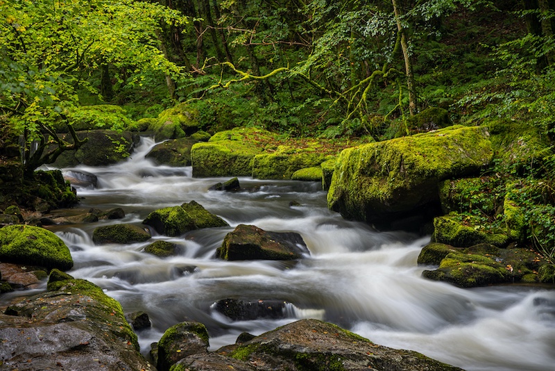 Hermanus Photographic Society - Phil Sturgess - Golitha Falls