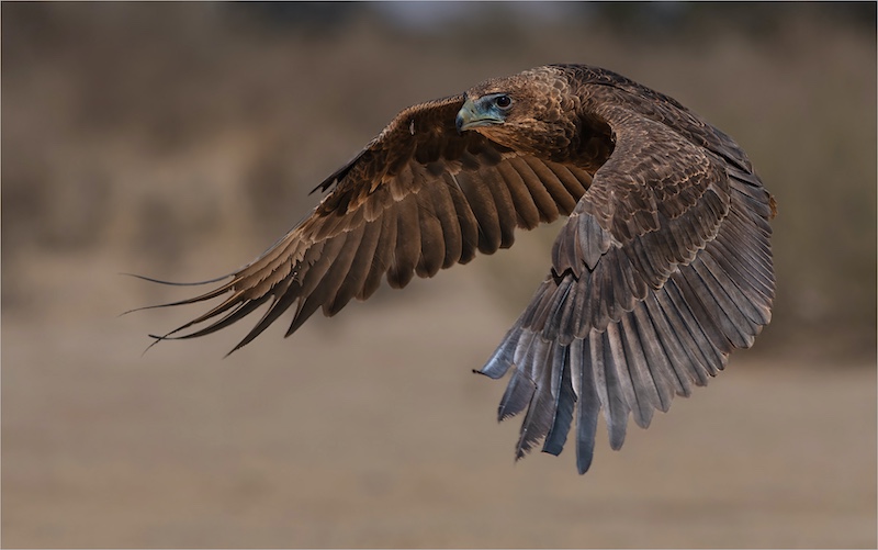 Kriel Foto Club - Eric Bosman - Amper Daar