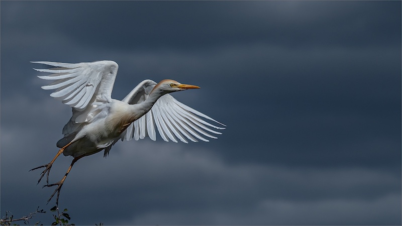 Mosselbaai Kameraklub - Elaine Van der Toorn - Challenging the storm
