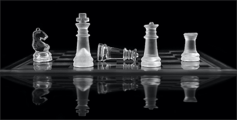 Sasol Highveld Photography Club - Leon Pelser - Game Over