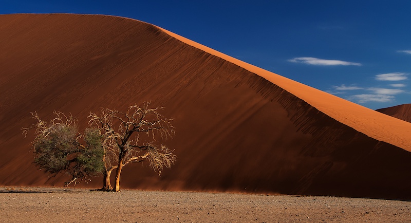 Vanderbijlpark Fotografiese Vereniging - Francois Roux - daar is nog lewe