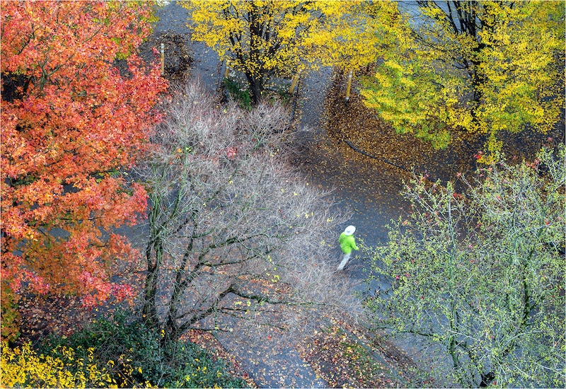 Craig Morgan - Randburg Foto Klub-Randburg Photo Club - Man Crossing the Street in the Fall