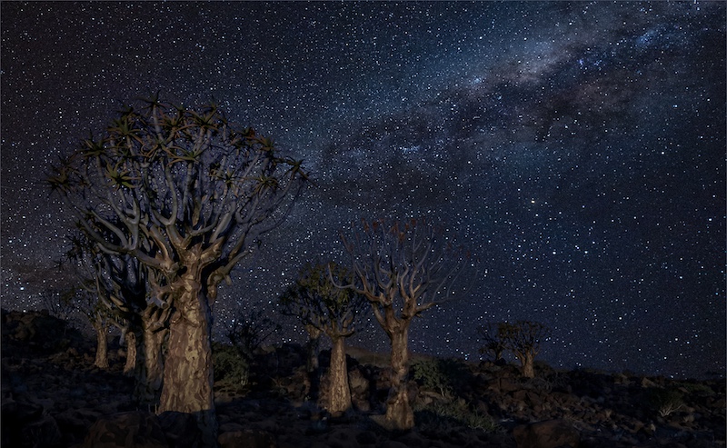 Dave Wickham - Highway Camera Club - Kokerboom Woud Sterre