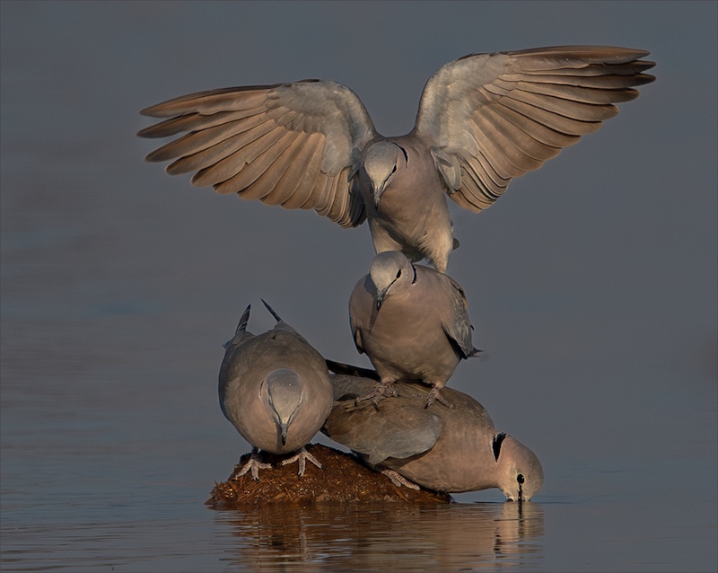 Leon Venter - Bethal Fotografie Klub - ON TOP OFF THE WORLD