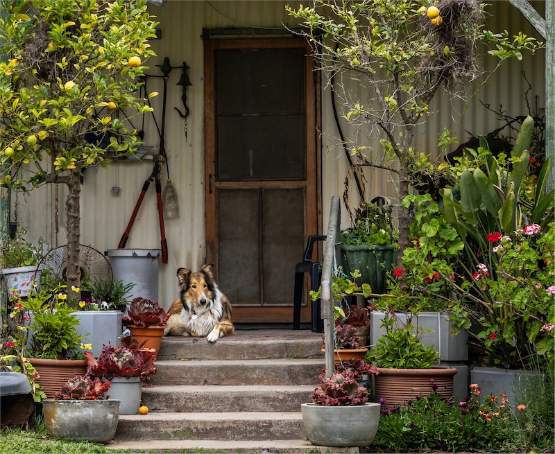 Phillip de Lange - Witzenberg Photographic Society - Waiting patiently