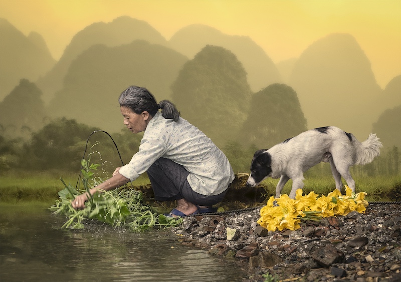 Ursula Baumann - Randburg Foto Klub-Randburg Photo Club - Was die blomme