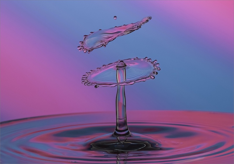 Amber Camera Club - Shirley Swingler - About the Wee Drop on Top