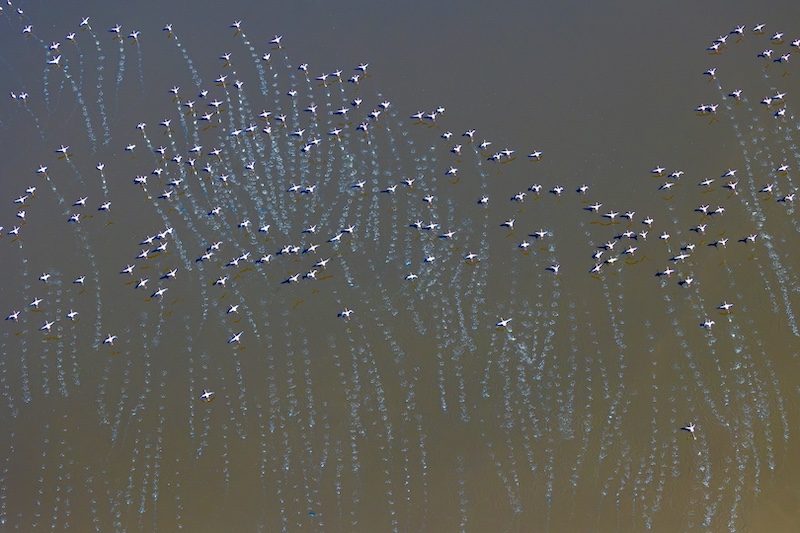 Ballito Photo Club - Debbie Du Plessis - Water tracks