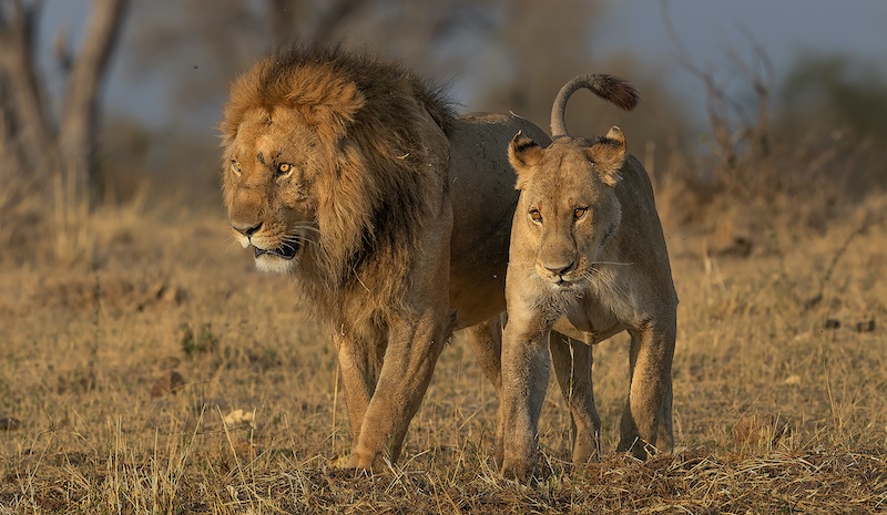 Bethal Fotografie Klub - Jannes Drotsky - Onder onsie