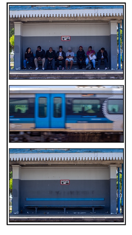 Creative Camera Club - Anthony Van Zyl - Now you see them Now you dont