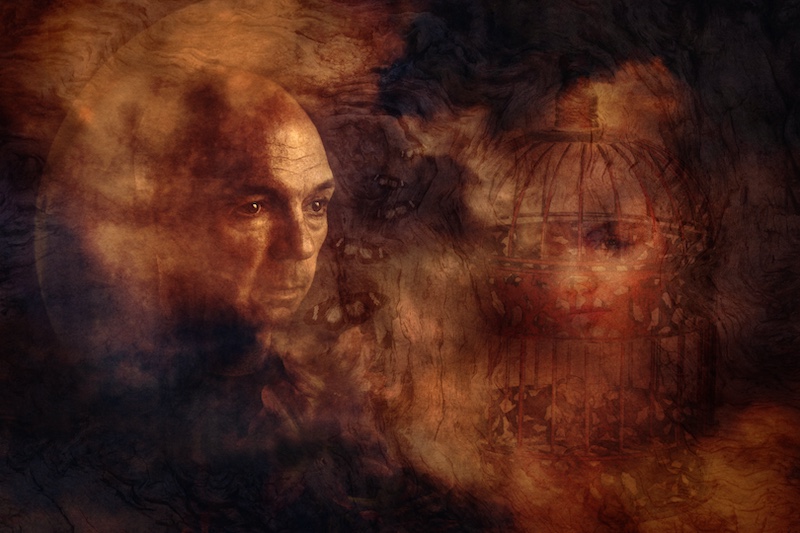 Hibiscus Coast Photographic Society - Elsabe du Toit - Distanced