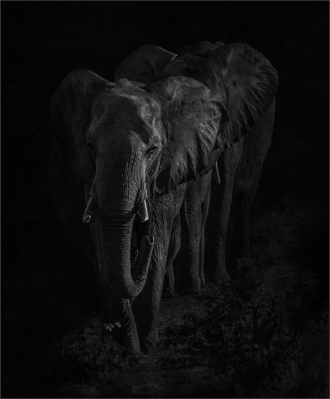 Highway Camera Club - Dave Wickham - Silent March