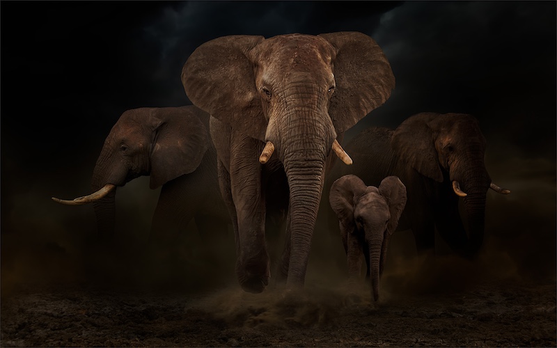 Kriel Foto Club - Spokie vd Merwe - The Storm