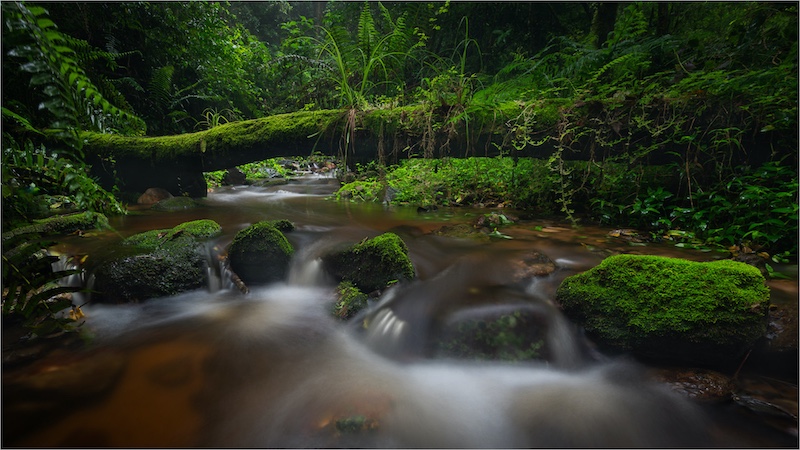 National Photographic Club - Francois Venter - Bridge over troubles waters