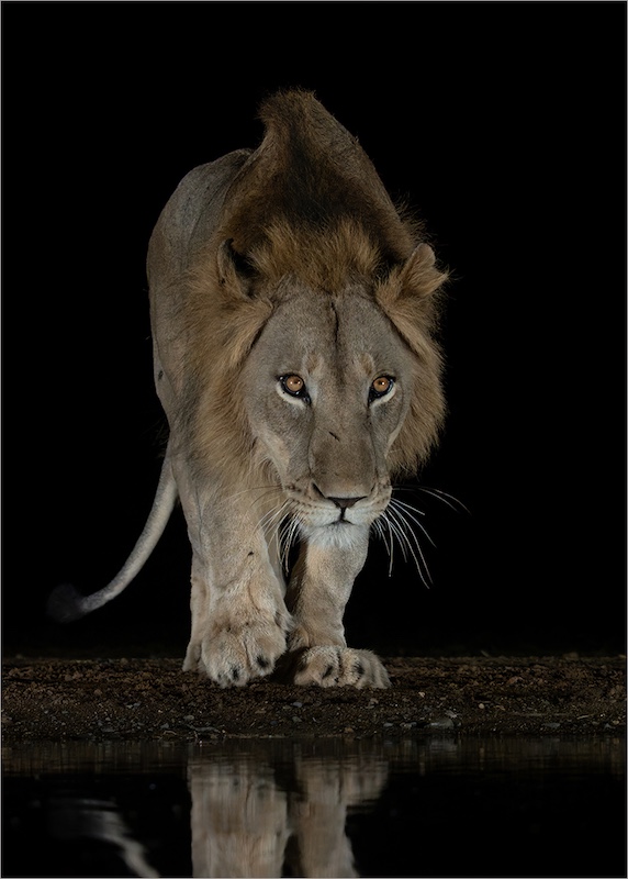 Westville Camera Club - Shirley Gillitt - Arriving