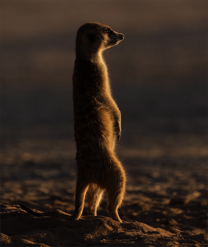 Geo Jooste - Bloemfontein Kameraklub - on duty