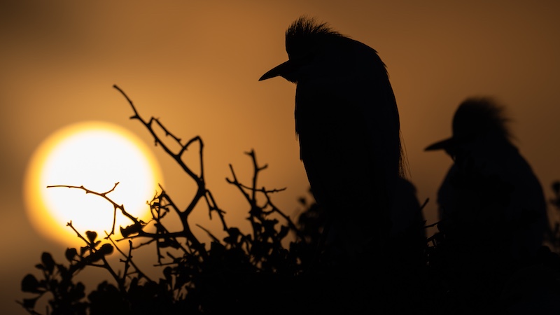 Michael de Nobrega - Eden Photographic Society - Sunset Shadows