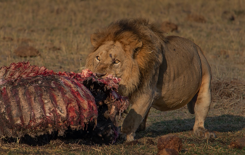 Wilma Drotsky - Bethal Fotografie Klub - Breek asb af