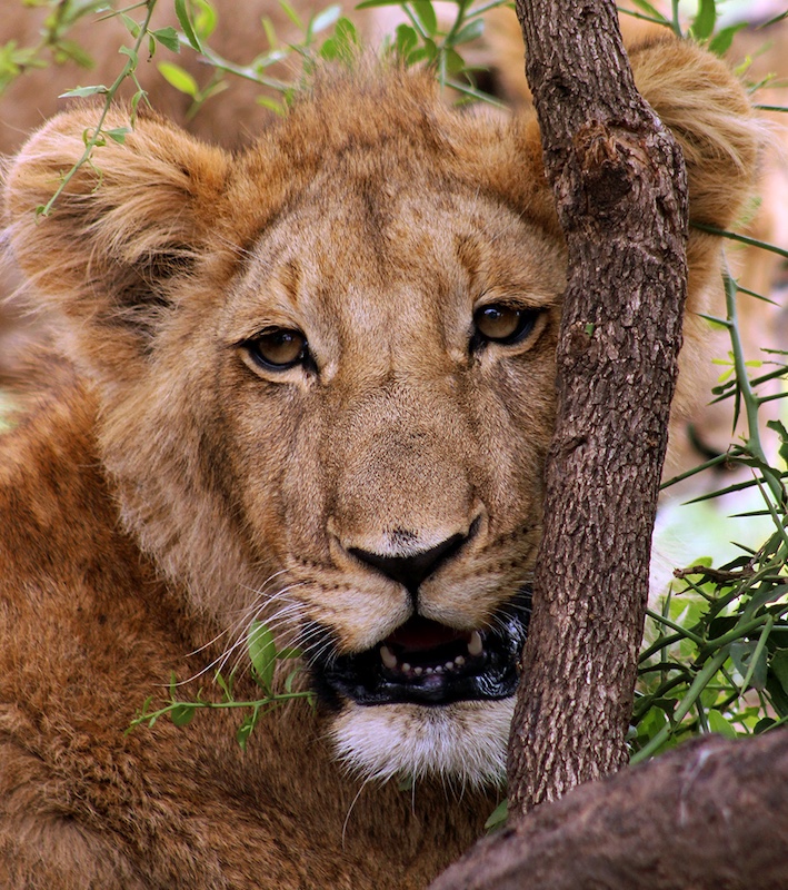 Kroonstad Fotoklub - Nicolene van Deventer - Argg this day is too long